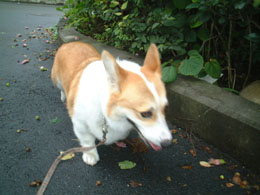 �ʂ�Ă�n�ʂ͂�����Ƌ��E�E�E