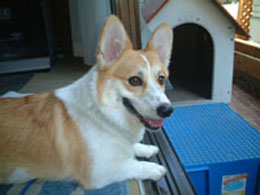 ����`�����Y����ς肩�킢���큗��