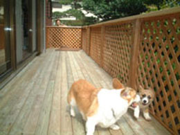 ���������A�l���悾��I�I