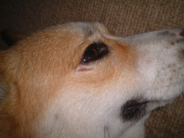 �l������΂��Ă�񂾁I�I