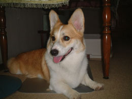 ���̊�Ȃ��Ȃ��f�G�I�I�i�a�x�ł��o�j