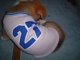 ���Y���Y����悧�`