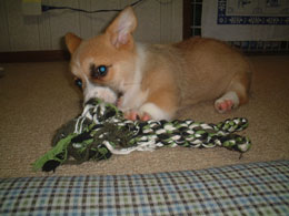 ��������܂��̃R�[�M�[�X�^�C���ł���I�I