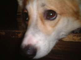 �q����H�I