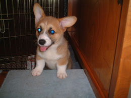 �������s�`�`���I�I