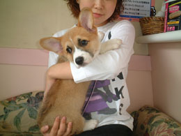 ���т˂�����`�`�E�E