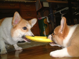 �������`�`�I�I