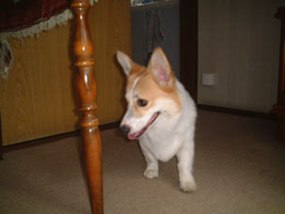 �����Y�Ȃ񂩂��������I�I