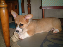 �Ԃ́A�Ȃ񂩐H���Ă�Ƃ��ƂȂ����H�I