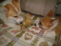 �ꏊ�ς��Ă��ƁE�E�E