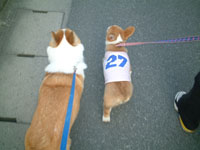 �����āA�Z�����ƈꏏ�ɕ��������񂾂���I�I