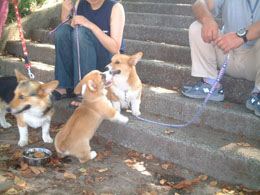 �ԂƊC����̃o�g�������`�I