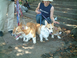 �Ō�͒��ǂ��A�g���W���[�f�r�I�I