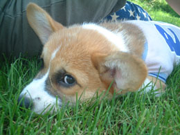 ������I�I������I�I