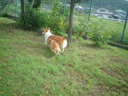 �s�����`�ԁI�I