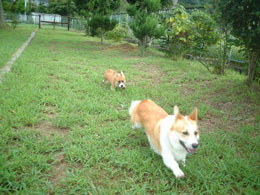 �܂��ā`�`�Z�����I�I