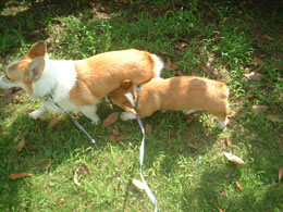 ����ς艽�����Ⴂ���Ă���ԁH�I�����̓`���`������`�`�I�I