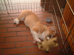 �������̗F�B�I�I