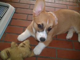 �����K�E�K�E���Ă��I�I