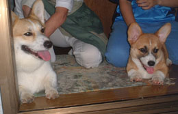 �����Ă������`�`���I�I