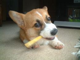 �J�~�J�~�E�E�E