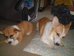 ���������Ƃ��́A���ƂȂ����ˁ`�`�I�I