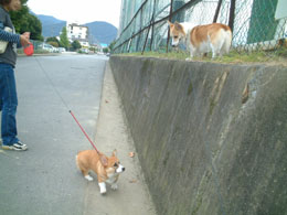 �ǂ����H�I����Ă���Ȃ����낤�H�H