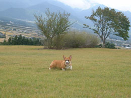 �����ς���������������悧�`�I