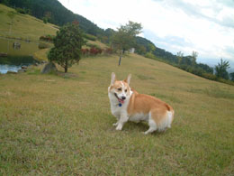 �o�����A�����ς��V��ł悧�`�`�I�I