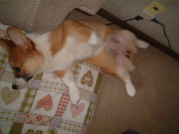 �S���`�`���I�I