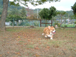 ���ꂵ���`�`�I�I