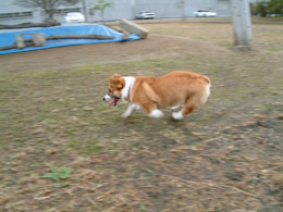 ���̂����`�`�I�I