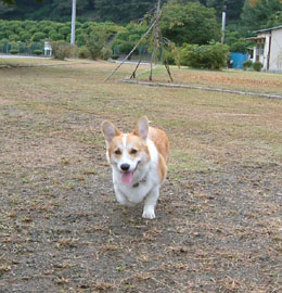 ��`�`���I�I