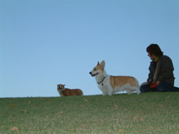 �Õ��̏�č����ˁ`�`�I�I