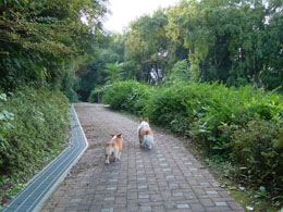 �����ς���������I�I