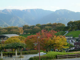 �g�t���E�E�E