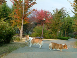 �N�����Ȃ��Ђ��낢����I�I