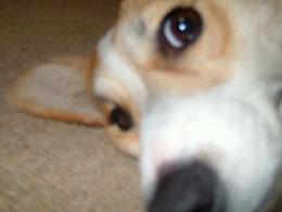 �������UP�I�I