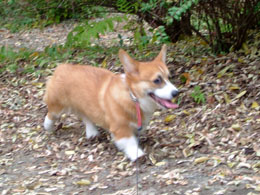 ����������l�H�I