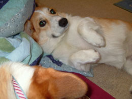 ���N�����ƂP�����ˁ`�`