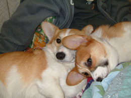 �Ȃ񂩂������������I�I���N�́E�E�E�E