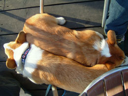 �ΏƓI�ȓ�C�ł��E�E�E