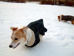 �o�����܂����o�����H�I