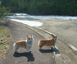 �킩��悤�ɓ{���ĂˁI�I