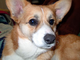 �������A�ԁ�