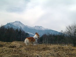 �ڂ��A������[