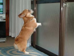 �������A�͂ȁB�������炨�����낢���