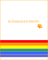 �ǂ̏����Y���D���H�Ԃ��o�ꂷ���I