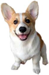 �n�[�g�^�̂��@�ɂЂƂ߂ڂ�(*^�B^*) 