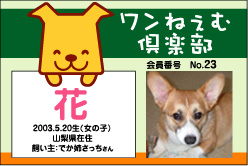 ���ԖV�w�����˂��ދ�y���x����؁�